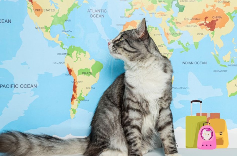 Keičiasi augintinių įvežimo į ES taisyklės: ką būtina žinoti jau dabar?