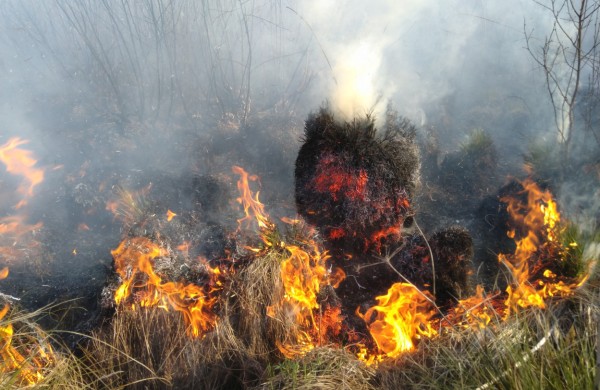 Tiriama, kodėl Šveicarijoje siautėjo liepsnos
