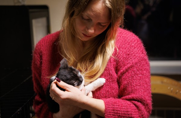 Humaniškai kačių populiacijos kontrolei Jonavoje – 10 metų