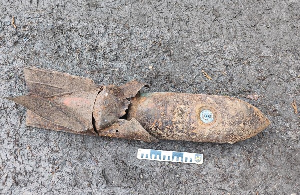 Iškalbingi skaičiai: balandį išminuotojai neutralizavo 252 sprogmenis