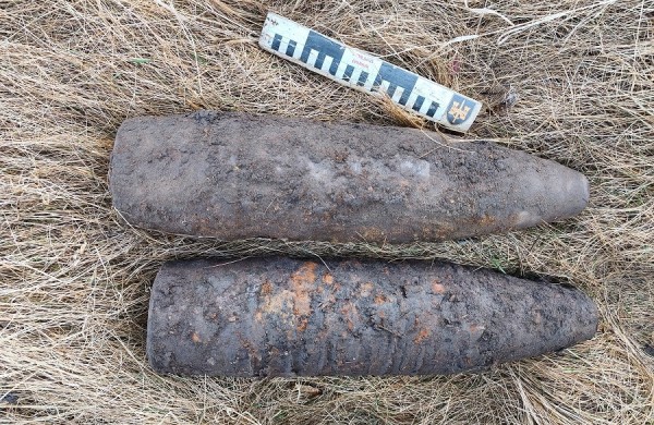 Iškalbingi skaičiai: balandį išminuotojai neutralizavo 252 sprogmenis