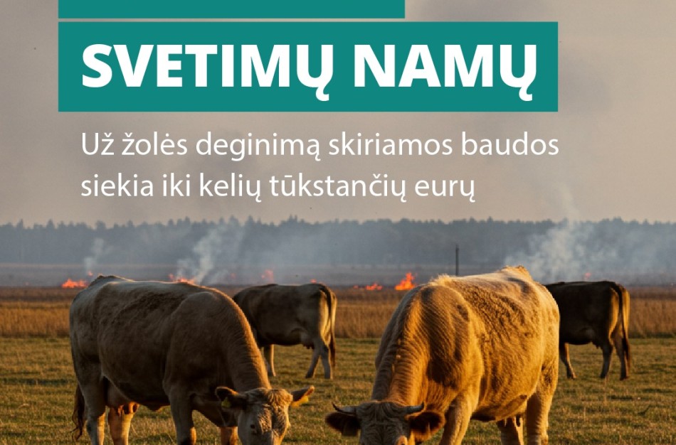 Deginama žolė: mirties nuosprendis viskam, kas gyva  