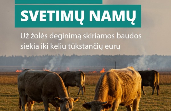 Deginama žolė: mirties nuosprendis viskam, kas gyva  