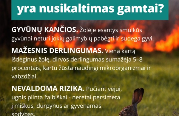 Deginama žolė: mirties nuosprendis viskam, kas gyva  