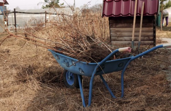 Nuo gegužės - daugiau ribojimų: ką dar galėsite deginti savo kieme?