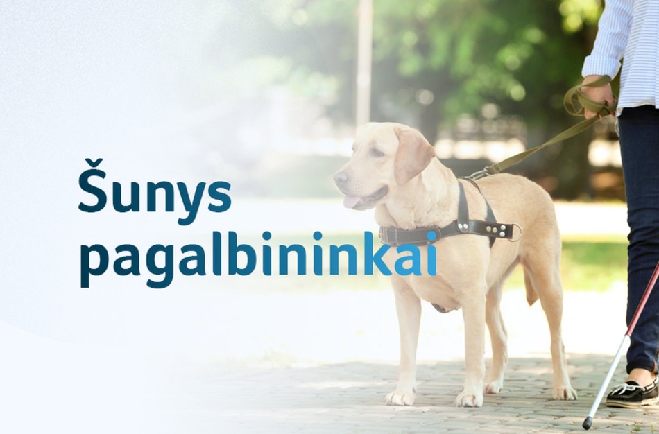 Įsigalioja ilgai lauktas įstatymas: šuns pagalbininko parengimą kompensuos valstybė