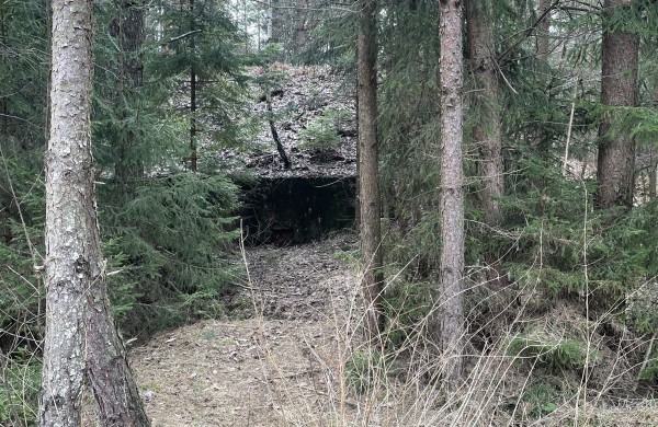 Skelbimas apie siūlymą pripažinti statinius bešeimininkiais