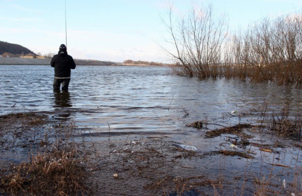 Nuo gegužės 1-osios vėl leidžiama žvejoti lydekas