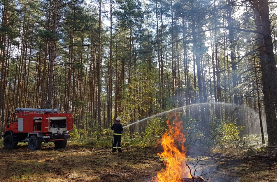 VMU įspėja: savaitės pradžioje – didelis miškų gaisrų pavojus