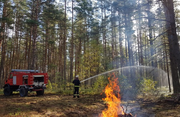 VMU įspėja: savaitės pradžioje – didelis miškų gaisrų pavojus