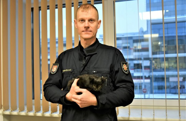 Jonavoje ugniagesiai iš medžio iškėlė katiną: gyvūnų gelbėjimas - kone kasdienė jų darbo dalis