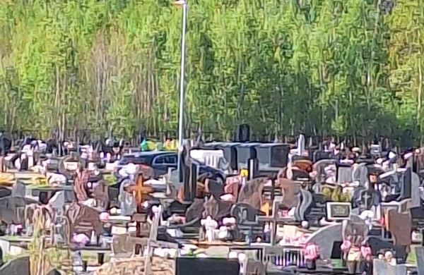 Gyventojai piktinasi automobilių eismu naujose Šmatų kapinėse, siūlo įrengti užtvarus: seniūnija žada ieškoti lėšų sprendimams