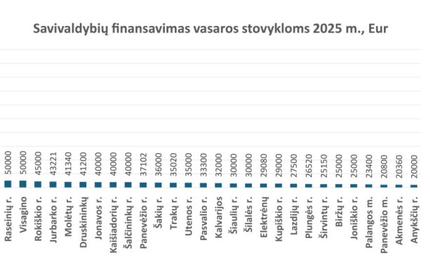 Vaikų vasara: vienos savivaldybės stovykloms skiria dešimtis eurų, kitose sumos nesiekia nė poros eurų vaikui
