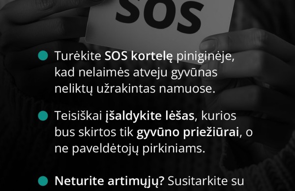 Mirus šeimininkui gyvūnai lieka vieni: kaip to išvengti