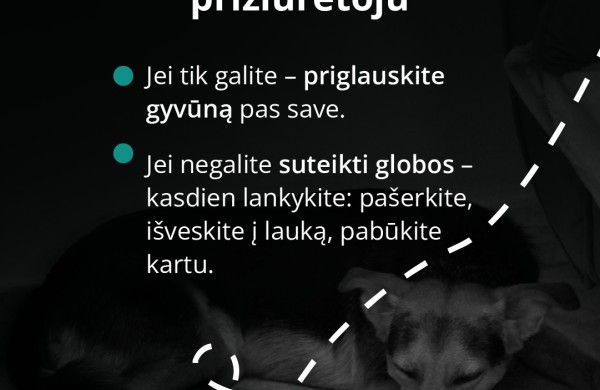 Mirus šeimininkui gyvūnai lieka vieni: kaip to išvengti