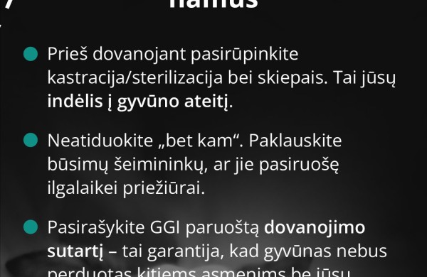 Mirus šeimininkui gyvūnai lieka vieni: kaip to išvengti