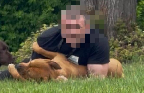 Nauji pranešimai apie agresyvų šunį Jonavoje: šeimininkams gresia ne tik baudos