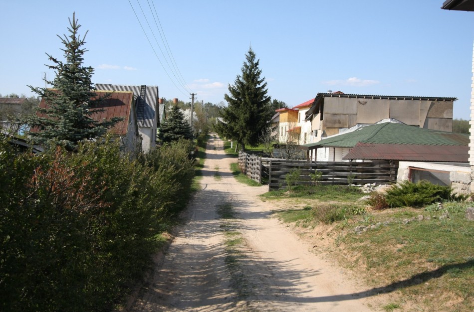 Siūloma leisti aukcionuose parduoti šimtus apleistų sodų sklypų