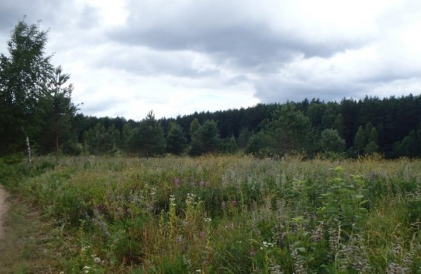 Sudarytas preliminarus 2026 m. Nenaudojamų, apleistų ar netinkamai naudojamų kitos paskirties žemės sklypų sąrašas