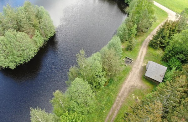 Aukštaitijos gamtos maršrutai: nuo susitikimo su stumbrais iki vaizdingų Neries panoramų