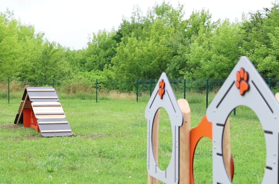 Atnaujinta šunų dresūros aikštelė 