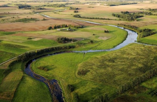 Valstybinės žemės pardavimai šiemet valstybės ir savivaldybių biudžetus jau papildė beveik 48,5 mln. eurų