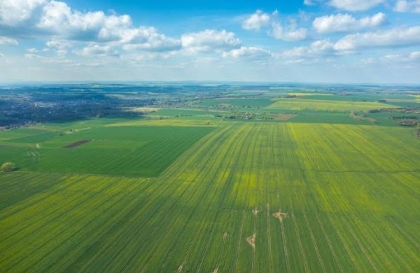 Europos Komisijai išsiųsti Strateginio plano pakeitimai: kas keisis šalies ūkininkams?