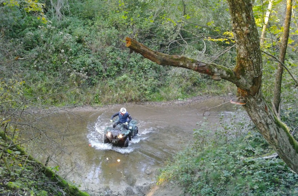 Keturračiai gamtoje: mitai ir realybė
