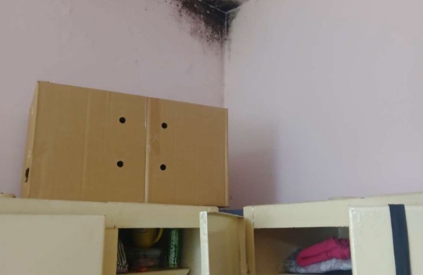 Planinės patikros vėl atskleidžia netvarką: pelėsis ant lentynų ir produktai šalia šiukšlių 
