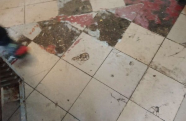 Planinės patikros vėl atskleidžia netvarką: pelėsis ant lentynų ir produktai šalia šiukšlių 