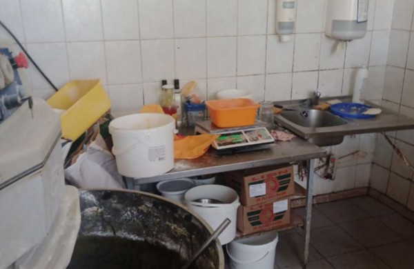 Planinės patikros vėl atskleidžia netvarką: pelėsis ant lentynų ir produktai šalia šiukšlių 