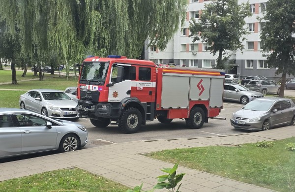 Audra Jonavoje verčia medžius: Lietavos gatvėje išvirto didžiulis gluosnis