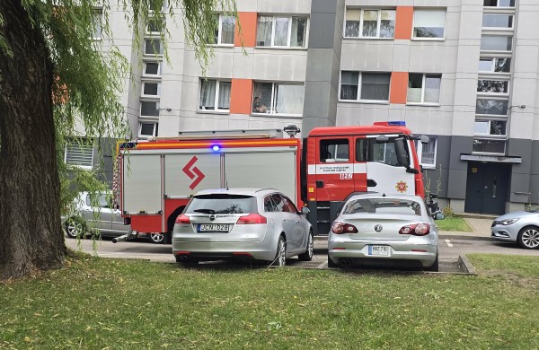 Audra Jonavoje verčia medžius: Lietavos gatvėje išvirto didžiulis gluosnis