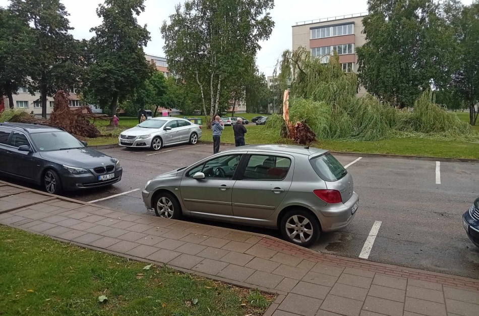 Rekordinė diena ugniagesiams gelbėtojams: dėl stipraus vėjo padarinių – apie 500 iškvietimų   