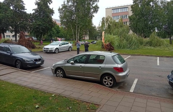 Rekordinė diena ugniagesiams gelbėtojams: dėl stipraus vėjo padarinių – apie 500 iškvietimų   