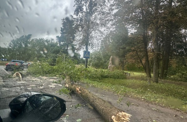 Rekordinė diena ugniagesiams gelbėtojams: dėl stipraus vėjo padarinių – apie 500 iškvietimų   
