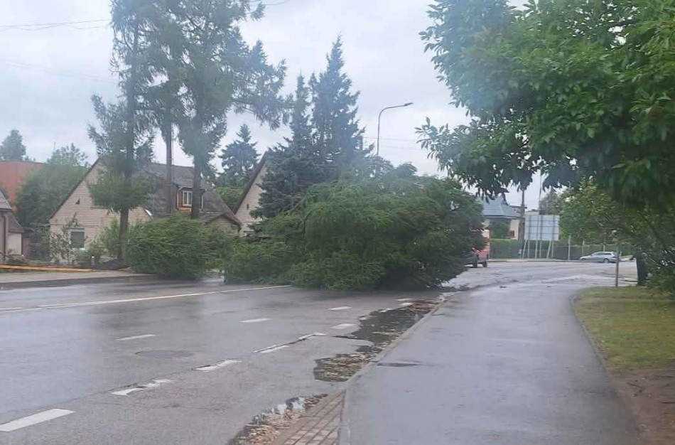 BPC fiksuoja šių metų rekordą: per mažiau nei 12 val. sulaukta daugiau nei 11 tūkst. skambučių
