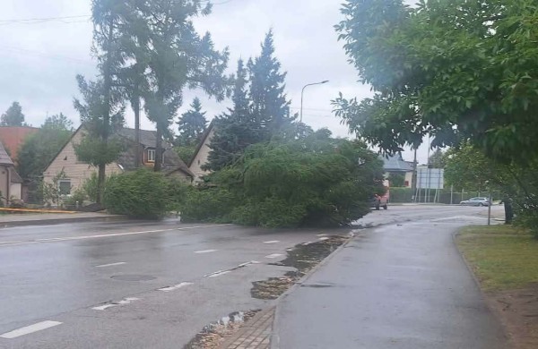 BPC fiksuoja šių metų rekordą: per mažiau nei 12 val. sulaukta daugiau nei 11 tūkst. skambučių
