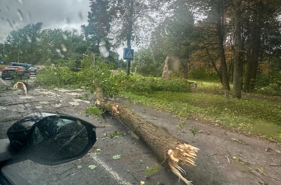 Audros metu Jonavoje medžius šalinusius ugniagesius kliudė automobilis