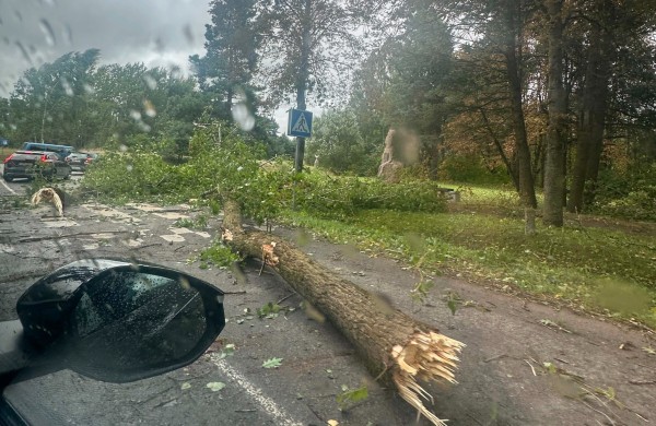 Audros metu Jonavoje medžius šalinusius ugniagesius kliudė automobilis