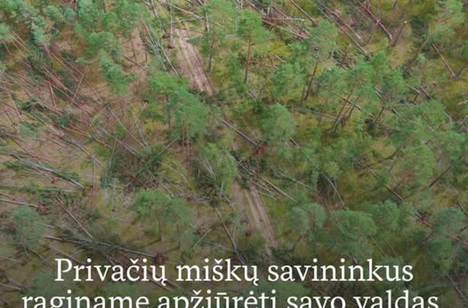 Privačių miškų savininkai raginami apžiūrėti savo valdas