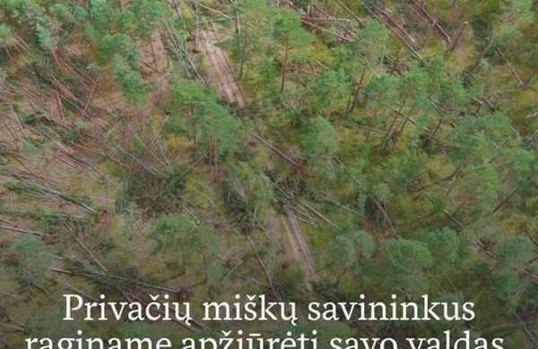 Privačių miškų savininkai raginami apžiūrėti savo valdas
