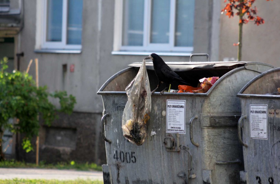 Nauja rinkliavos už atliekas tvarka gąsdina savivaldybes: kai kur kaina gali kilti dvigubai