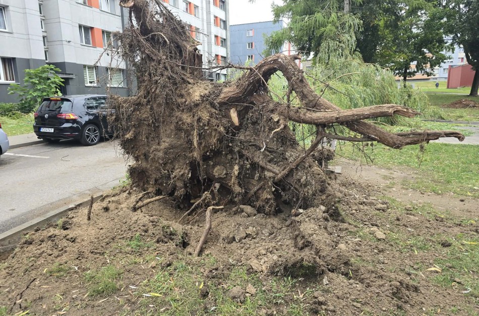 Po EDPK posėdžio: kvestionuojamas „Ignitis grupės“ valdymo modelis – siūloma peržiūrėti teisės aktus, stiprinti valstybės vaidmenį ir apsaugoti pažeidžiamus gyventojus