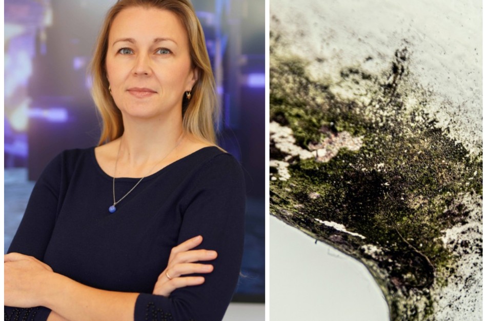Atvėsus orams namuose grįžta pelėsis: kada nebeužtenka praverti lango ar nuvalyti dėmės?