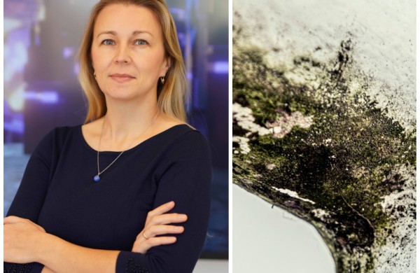 Atvėsus orams namuose grįžta pelėsis: kada nebeužtenka praverti lango ar nuvalyti dėmės?