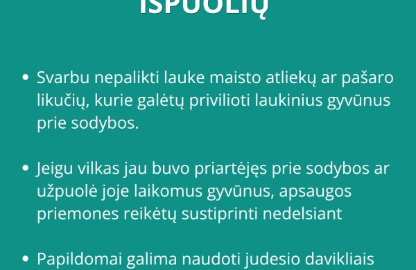 Atėjo vilkų išpuolių metas – kiek šunų prie būdų bus pasmerkti mirti šiemet? 
