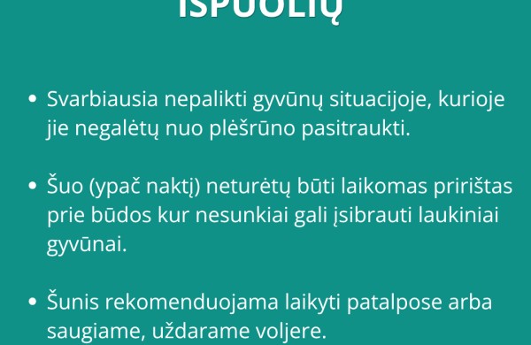 Atėjo vilkų išpuolių metas – kiek šunų prie būdų bus pasmerkti mirti šiemet? 