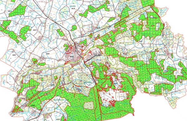Parengti Jonavos rajono savivaldybės valstybinės reikšmės miškų plotų schemų pakeitimo projektai