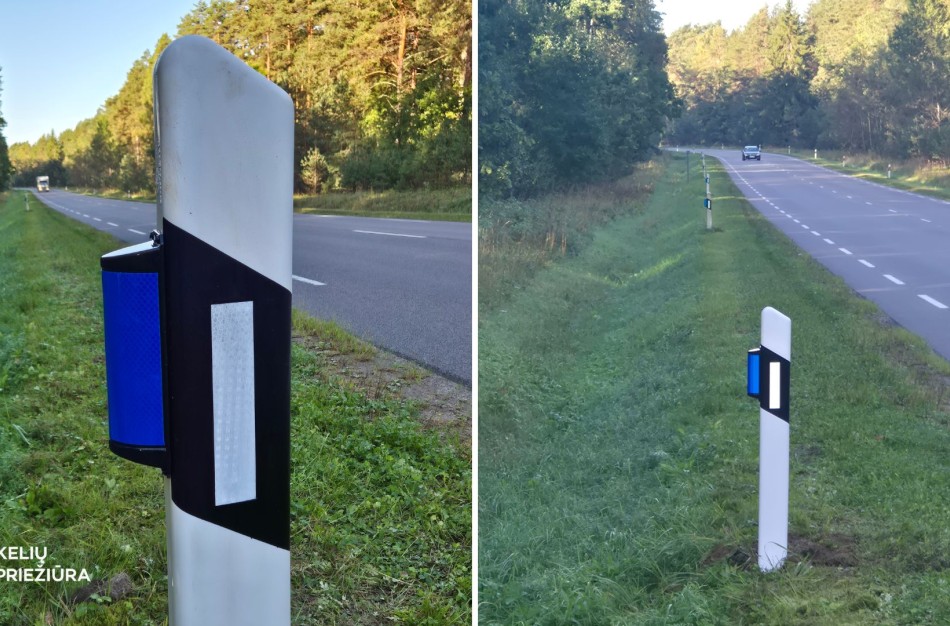 400 laukinių gyvūnų atbaidymo atšvaitų Lietuvos keliuose: bus vertinamas jų efektyvumas